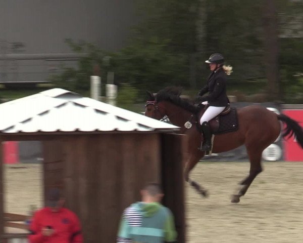 Reitturnier Westergellersen 2023