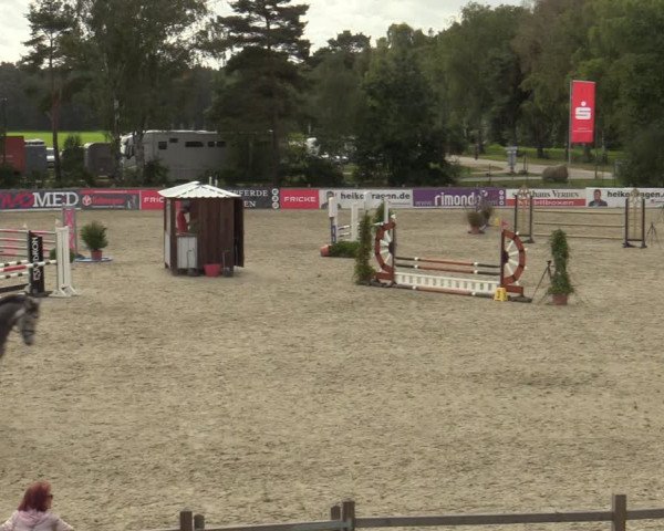 Reitturnier Westergellersen 2023