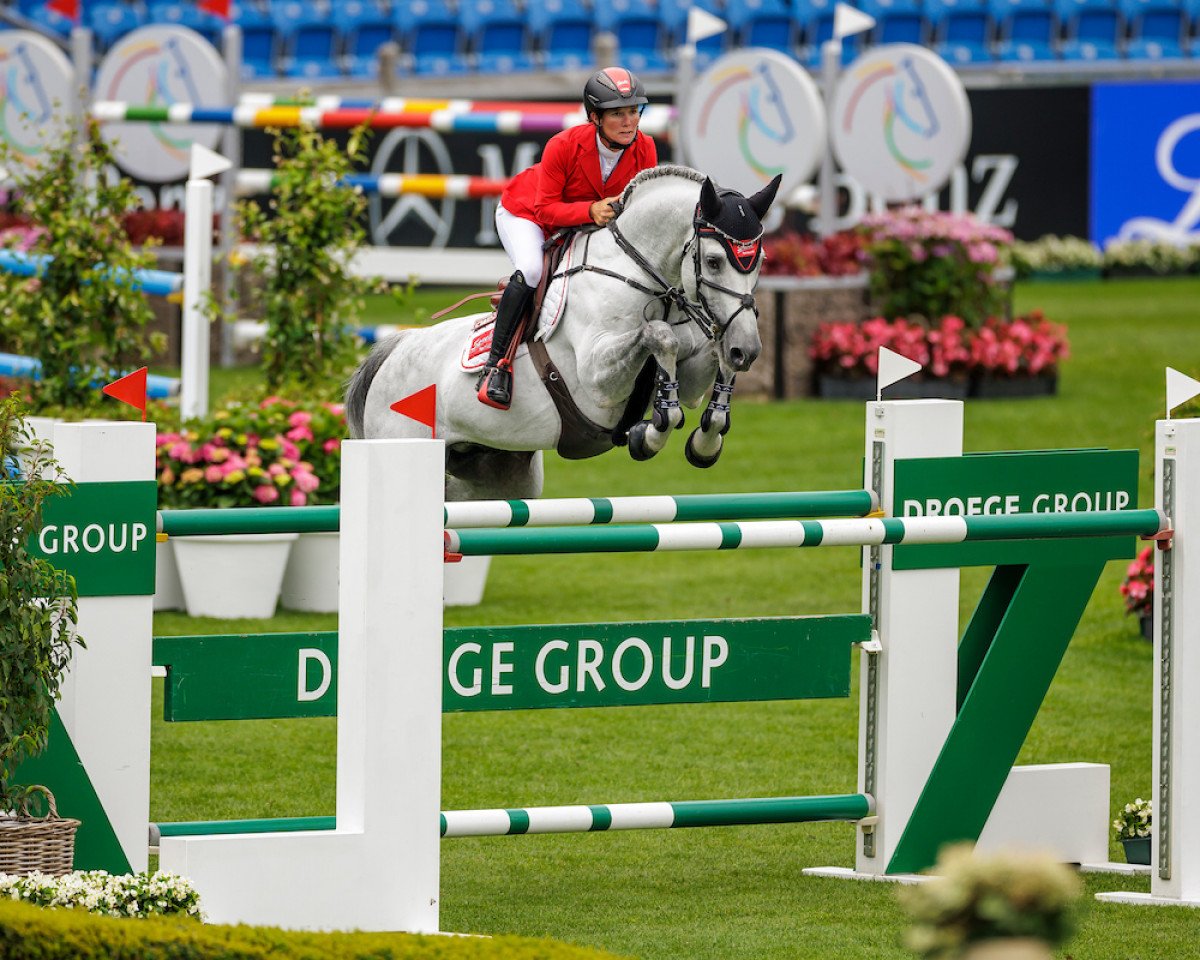 Deckhengst Hickstead White (Oldenburger Springpferd, 2012, von Hickstead)