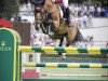 jumper Sprehe Hot Easy (KWPN (Royal Dutch Sporthorse), 2012, from Andiamo)