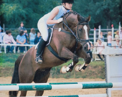 dressage horse Lando S 4 (Hessian Warmblood, 1999, from Lucky Lionell)