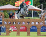 jumper Mila (Oldenburg show jumper, 2012, from Monte Bellini)