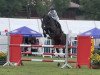 jumper Pauline 465 (Hanoverian, 2016, from Perigueux)