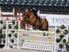 jumper Davos De Liebri Z (Zangersheide riding horse, 2015, from Diamant de Semilly)