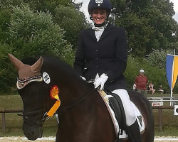 dressage horse Das Kleine Schwarze 3 (Trakehner, 2012, from E.H. Millennium)