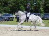 dressage horse Lovis Corinth 3 (Westphalian, 2005, from Cornet Obolensky)