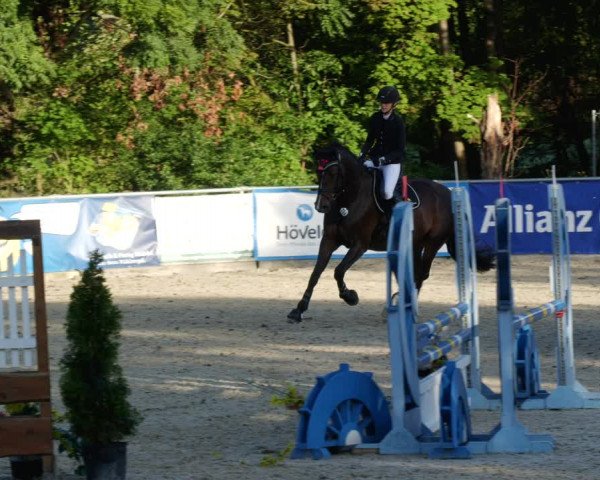 Reitturnier Karlsfeld 2023