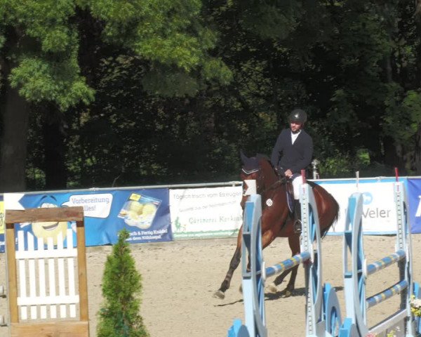 Reitturnier Karlsfeld 2023