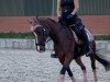 dressage horse Princess Neyla (German Riding Pony, 2008)