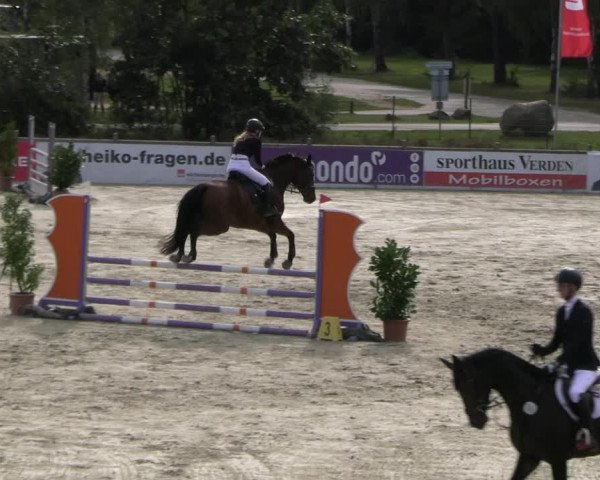 Reitturnier Westergellersen 2023