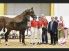 dressage horse Caipirinha FH (Austrian Warmblood, 2023, from Indian Rock)