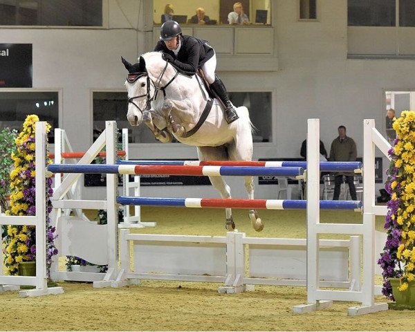 Springpferd Princess Leah (Irish Sport Horse, 2006, von Douglas)