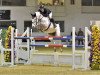 Springpferd Princess Leah (Irish Sport Horse, 2006, von Douglas)