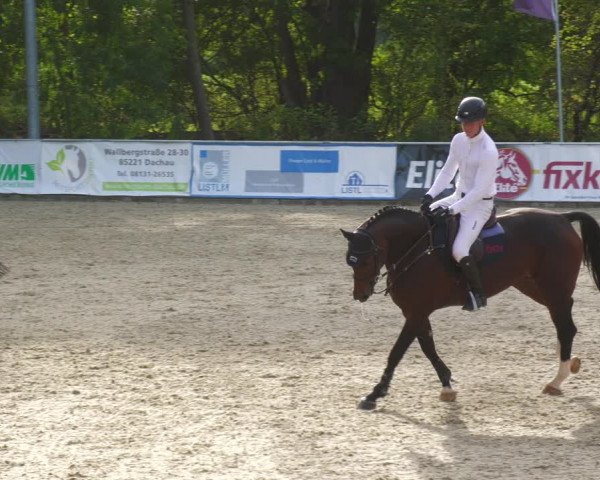 Reitturnier Karlsfeld 2023