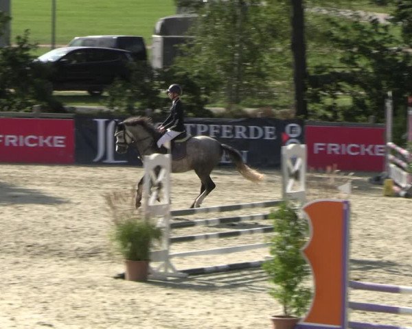 Reitturnier Westergellersen 2023
