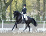 dressage horse Fürstenhit 6 (Hanoverian, 2015, from Fürst Belissaro)