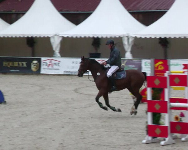 Reitturnier Karlsfeld 2023