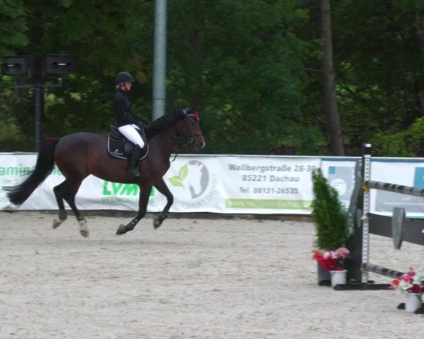 Reitturnier Karlsfeld 2023