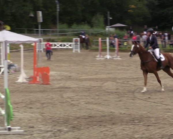 Reitturnier Lgl.-Oberhain, B95 2021