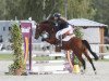 jumper Giotto 78 (German Riding Pony, 2003)