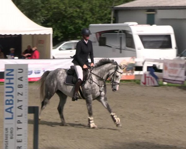 Reitturnier Mildstedt - JTN 2023