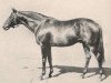 stallion Link Boy xx (Thoroughbred, 1928, from Pharos xx)