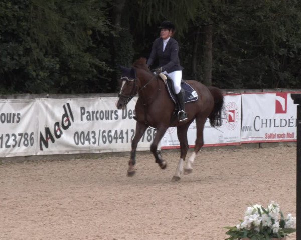 Reitturnier Ranshofen - Braunau am Inn 2023