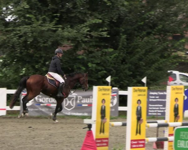 Reitturnier Mildstedt - JTN 2023
