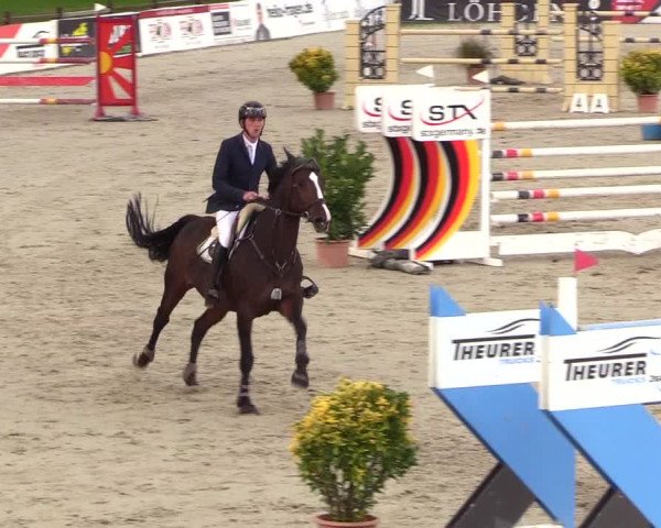 Reitturnier Westergellersen 2023