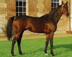 stallion Dear Doctor xx (Thoroughbred, 1987, from Crystal Glitters xx)