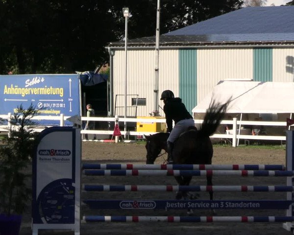Reitturnier Mildstedt - JTN 2023