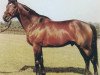 stallion Glint of Gold xx (Thoroughbred, 1978, from Mill Reef xx)