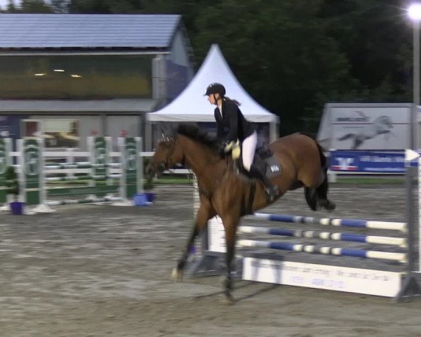 Reitturnier Mildstedt - JTN 2023
