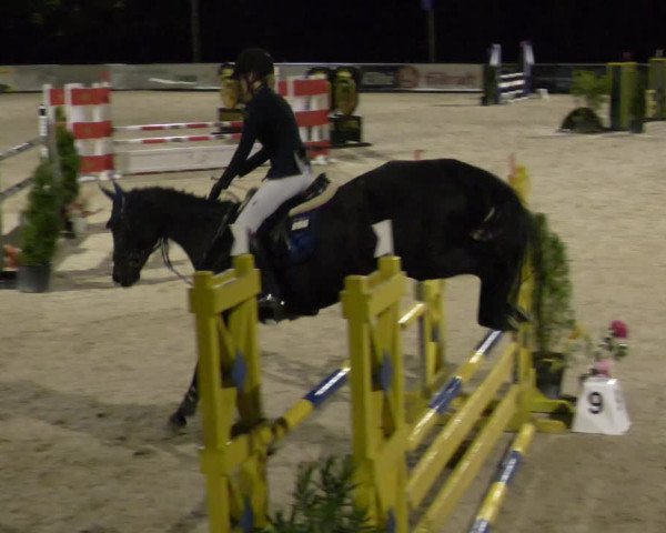 Reitturnier Karlsfeld 2023