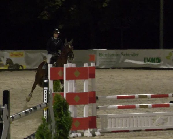 Reitturnier Karlsfeld 2023