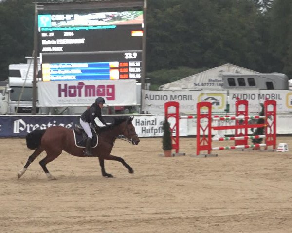 Reitturnier Ranshofen - Braunau am Inn 2023