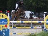 jumper Stockholm van Eeckelghem (Belgian Warmblood, 2018, from Port Royal Van Eeckelghem)