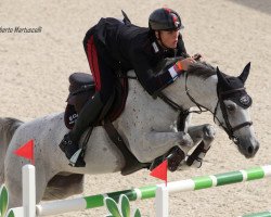 jumper Let's Go Fz (Hanoverian, 2013, from Pikeur Lord Fauntleroy)