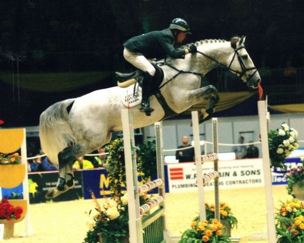 stallion Carmena Z (Zangersheide riding horse, 2000, from Carthago)