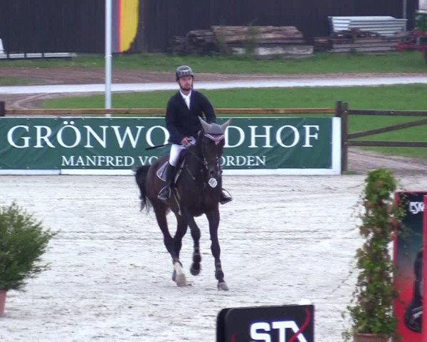 Reitturnier Westergellersen 2023
