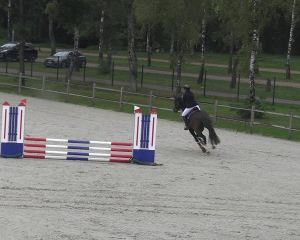 Reitturnier Westergellersen 2023