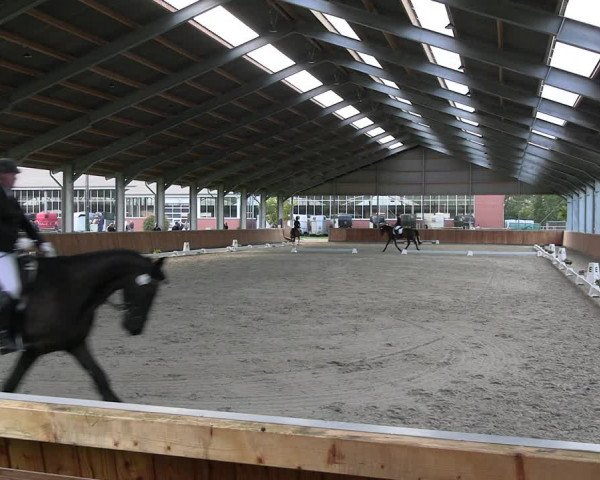 Reitturnier Langenfeld - Gut Langfort 2023