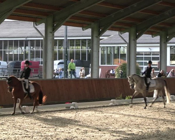 Reitturnier Langenfeld - Gut Langfort 2023