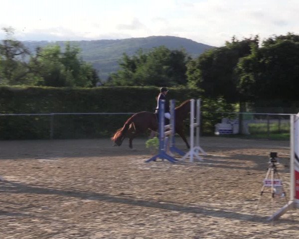 Reitturnier Birkungen 2023
