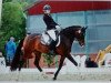 dressage horse Kolvenfeld's Viola D'Amore (German Riding Pony, 2010, from Very Painted N.N.)