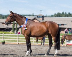 broodmare WT Exclusive (Holsteiner, 2012, from Liocalyon)