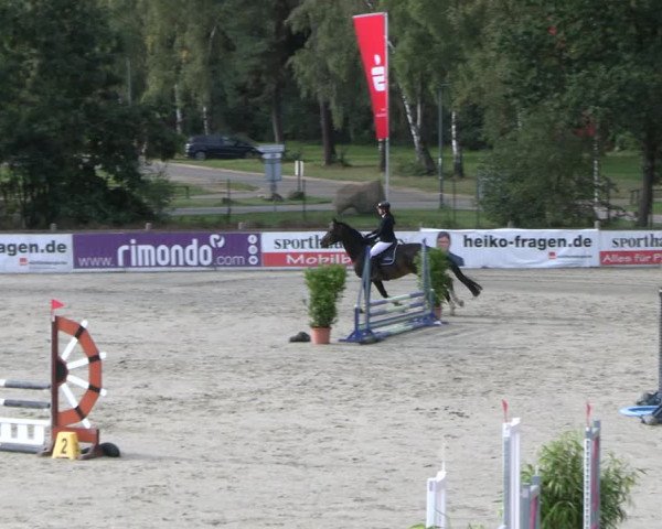 Reitturnier Westergellersen 2023