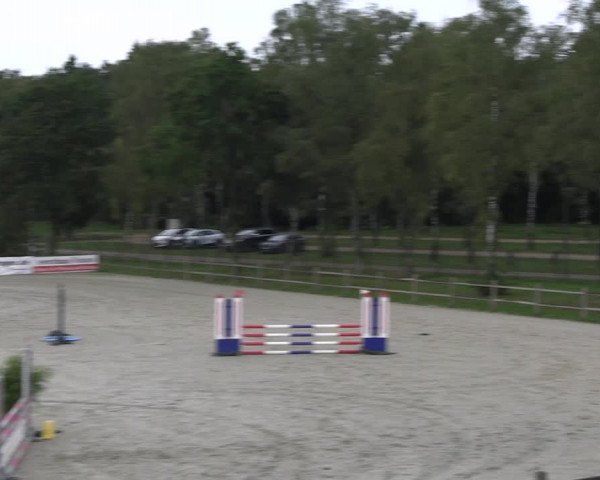 Reitturnier Westergellersen 2023