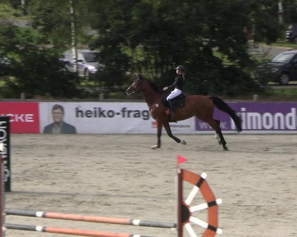 Reitturnier Westergellersen 2023