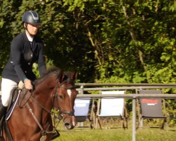 Reitturnier Leingarten 2023